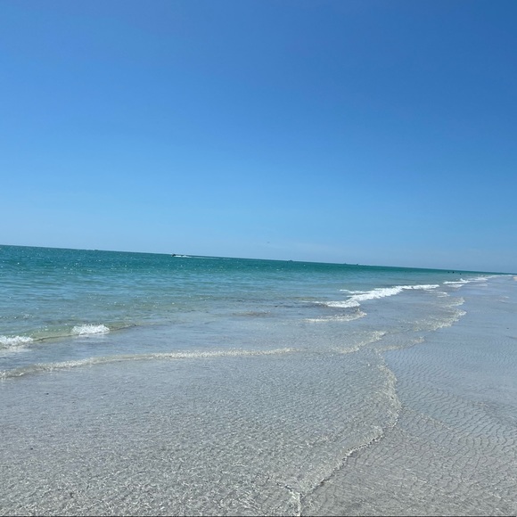 Meet your posher - Picture 1 of 1